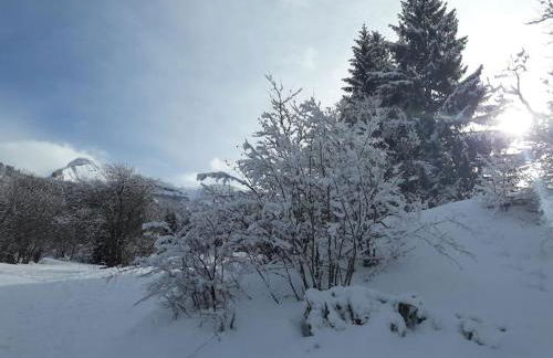 Duplex 59m2 - proche centre - balcon plein sud - Foto 22