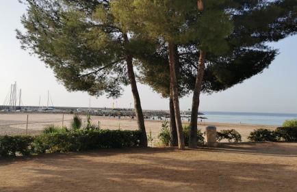 APARTAMENTO PORT DE RODA DE BARA -ROC SANT GAIETA - Foto 40