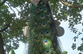 Deliziosa casa sull albero a 30 minuti da Roma - Foto 30