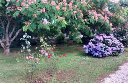 Maison tout confort avec piscine chauffée au bord des rives de la Dordogne - Foto 26