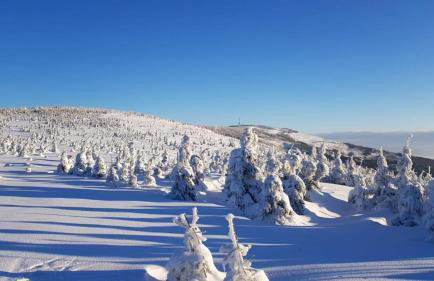 Agropensjonat Tramp z góralskim spa - Foto 2