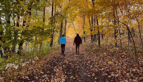 Escape to Nature and Lake views Studio Style Rooms - Foto 4