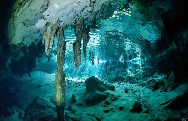 Cenote Dos Ojos Scuba Diving - Foto 9