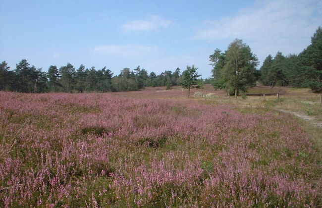 Holiday Home Hirtenkate Apartment 1 - Foto 13