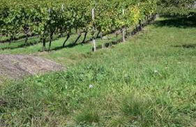 Nostalgie erleben im historischen Turmwächterhaus - Foto 17