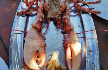 Apartmenthaus Viktoria - Foto 15