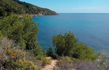 Appartement T2 à la Croix Valmer piscine et tennis - Foto 26