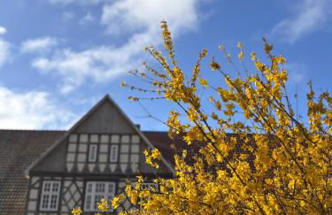 Gästezimmer auf dem Erlenhof - Foto 1