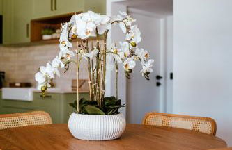 Refugio das Poldras-Villa 63 - Foto 41