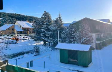 L'Aire des montagnes - Foto 41