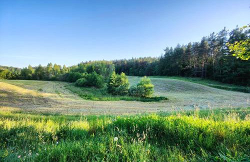 Trzy Świerki - Twoje miejsce na Kaszubach - Photo 43