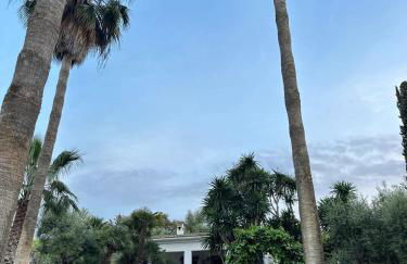 Spacious villa with private pool in Villamartin - Foto 45