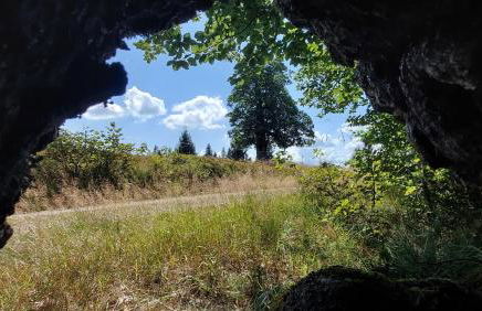 Helle, lichtdurchflutete Ferienwohnung im Herzen des Bayerischen Waldes, Nationalparknähe - Foto 40