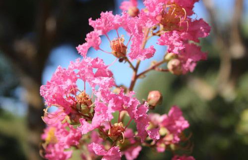 Sea Breeze - Foto 29