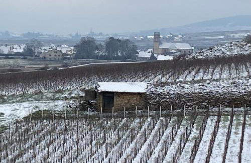 Coeur de Pommard - Foto 40