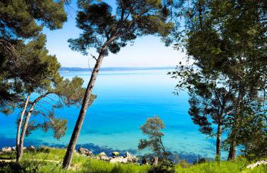 Chambre d hôte les heures claires - Photo 6