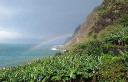 Slice Of Heaven- Dream Holiday Home - Foto 6