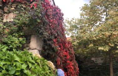 Morgadio da Calcada Douro Wine&Tourism - Foto 21