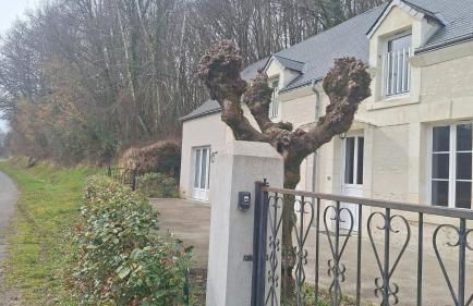 La Gravette, 10mn du ZooParc de Beauval - Foto 18