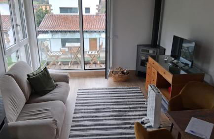 Mirando a los Picos de Europa - Photo 12