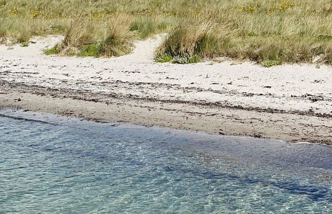 10 Person Holiday Home in Dannemare - Foto 30