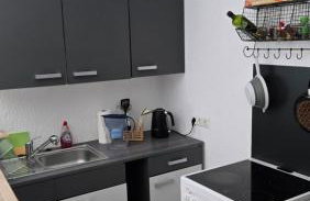 Gemütliches Appartement mit Küche und Parkplatz nähe Schweiz - Foto 10