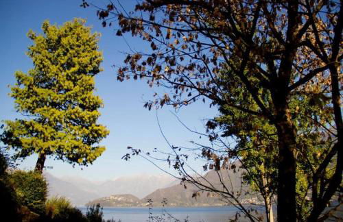 LakeSide Villa Del Pierangelo: Apartment Platanus - Foto 31