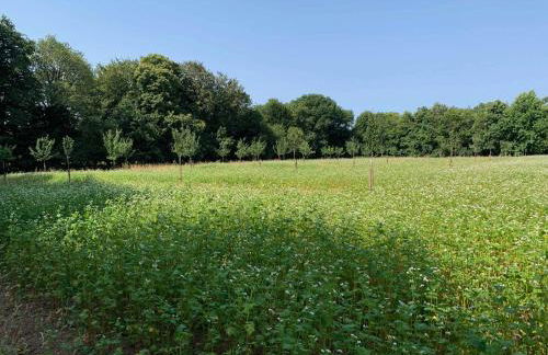 Cottage Tea Mamm , écrin de verdure et son jardin de thé, 3 étoiles - Foto 31