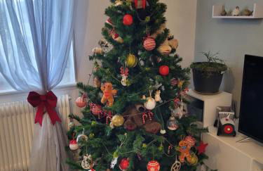 Appartement Au Cigogneau Wifi-Netflix-Balcon-Parking - Foto 1