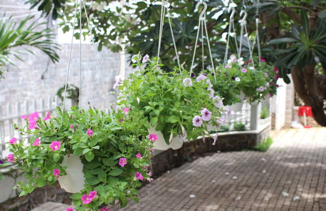 Des Ami Villa - Foto 38