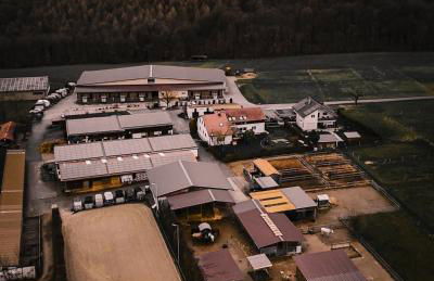 Auszeit und Idylle auf dem Pferdehof - Foto 8