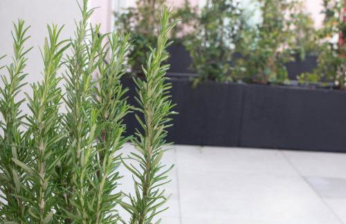 Cardeal Suites & Apartments - Foto 128