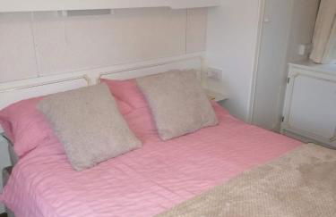 Poplar Lodge Log Caravan - Foto 16