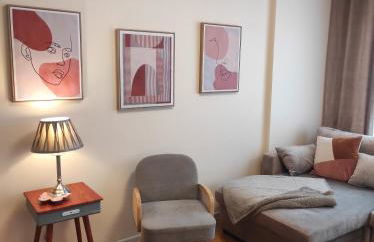 Appartements F3 Design Colmar+parking free - Foto 6