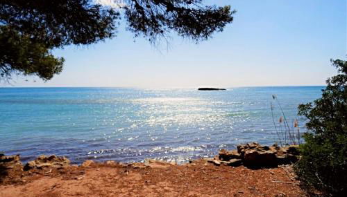 Don Cayo 17 - Photo 5