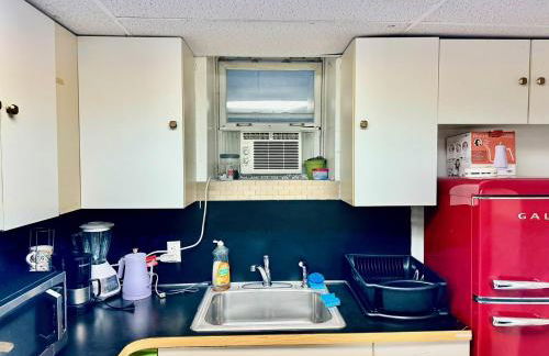 2 Bedroom Apt in LIC, Private WITH BACKYARD ! - Foto 8