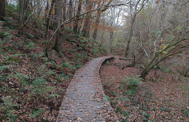 Seaside Serenity in Taysinge-by Traum - Foto 18