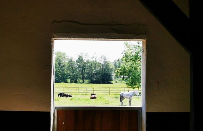 Sophienhof Lieselotte - Foto 37