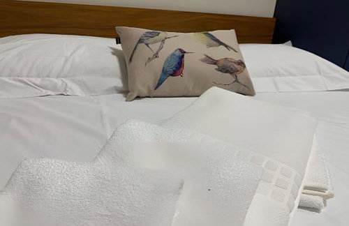 Estúdios Novos, Compactos e Aconchegantes - Foto 64