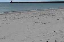 Oil Mill Lane Holiday Cottage - Foto 29