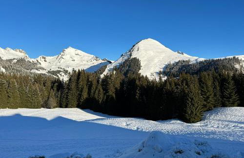 Studio au cœur du Praz-de-Lys - Les Pralyssimes - Foto 16