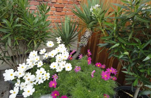 Gasthof Reiterstuben - Foto 32