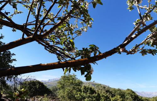 La Celestina - Foto 26