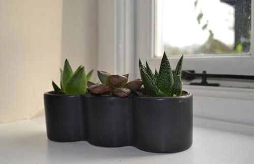 The Cottage - Foto 30