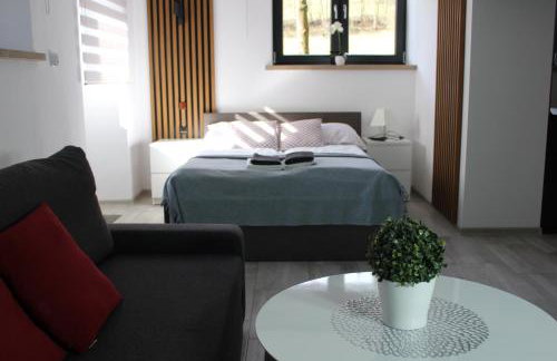 Apartamenty Świstak Maciej Dunajczan - Foto 48