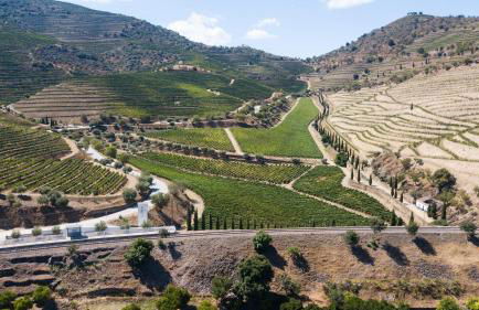 RENT4REST DOURO FAMILY 2BD Apartment - Foto 38