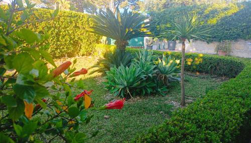 FONTANE BIANCHE 300MT fROM BEACH - Foto 5