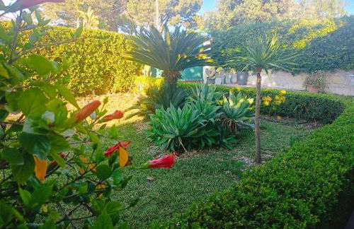 FONTANE BIANCHE 300MT fROM BEACH - Foto 18