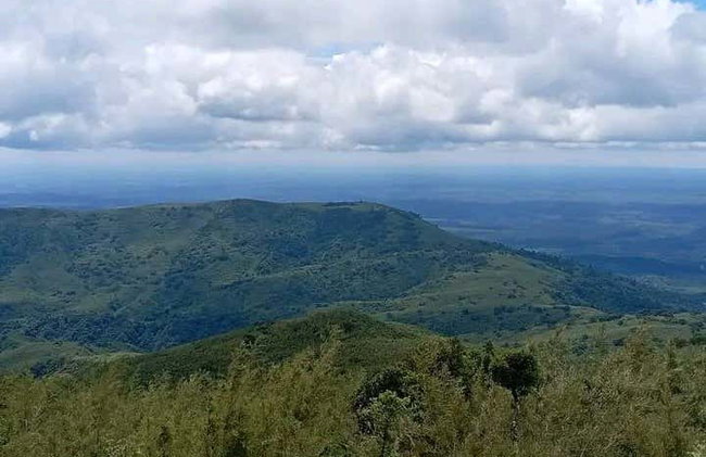 Trilha pela floresta de Kimakia - Foto 3