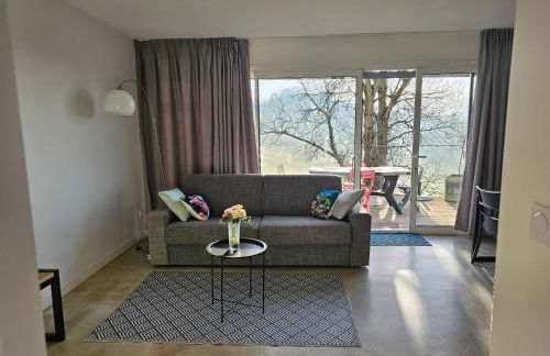 Domaine de Massoulac - Foto 8